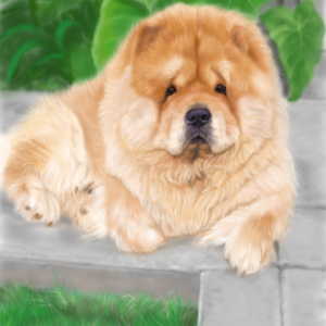 Realistic Golden Chow Chow Botanical Painting Print